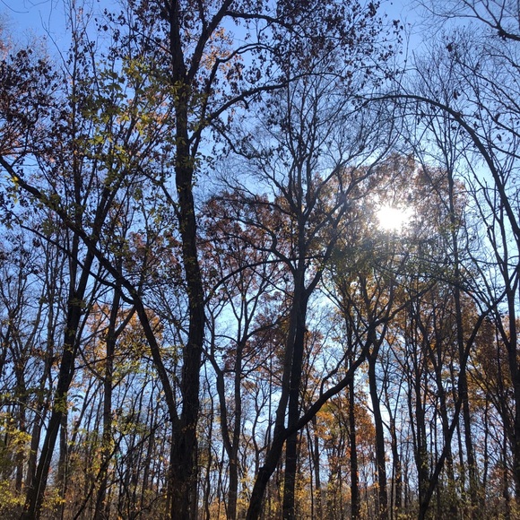 Meet your Posher, Courtney - Picture 1 of 1